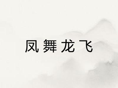 凤舞龙飞 凤舞龙飞