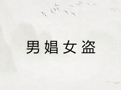 男娼女盗 男娼女盗