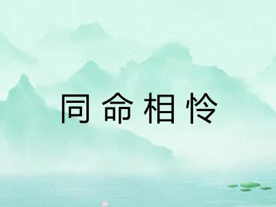 同命相怜