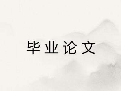 毕业论文 毕业论文