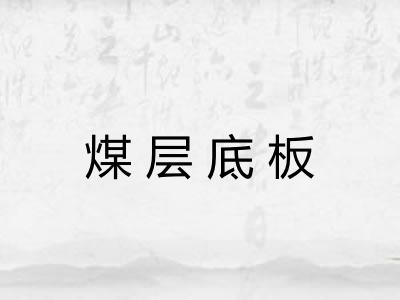 煤层底板 煤层底板