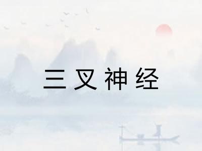 三叉神经 三叉神经