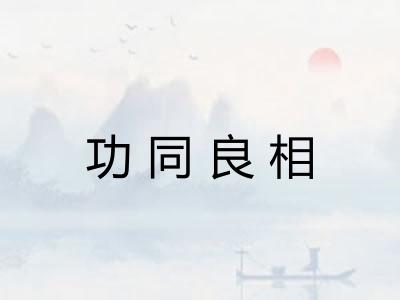 功同良相 功同良相