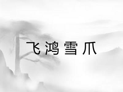 飞鸿雪爪 飞鸿雪爪
