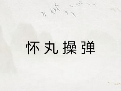 怀丸操弹 怀丸操弹