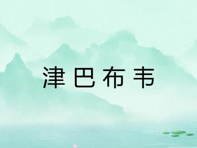 津巴布韦 津巴布韦