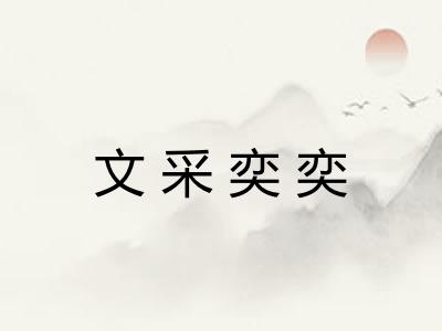 文采奕奕 文采奕奕