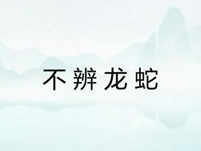 不辨龙蛇