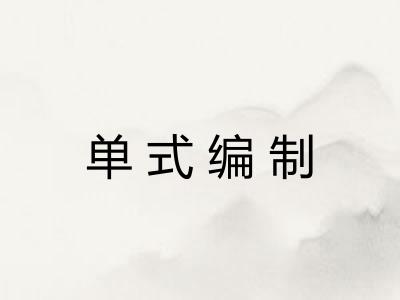 单式编制 单式编制