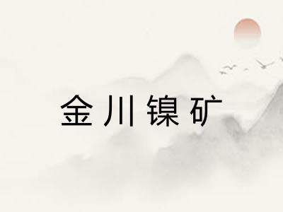 金川镍矿 金川镍矿