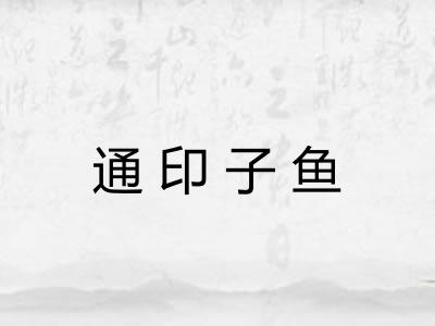 通印子鱼 通印子鱼