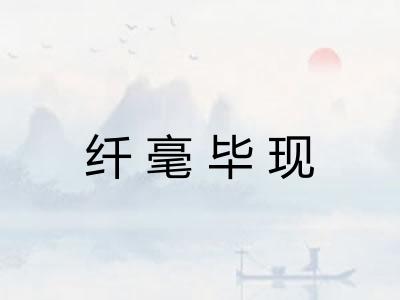 纤毫毕现 纤毫毕现