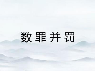 数罪并罚 数罪并罚