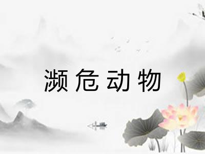 濒危动物 濒危动物
