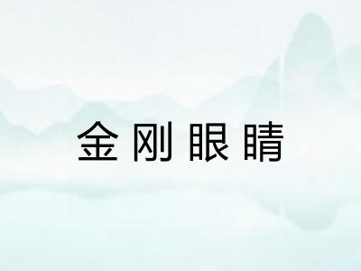 金刚眼睛 金刚眼睛