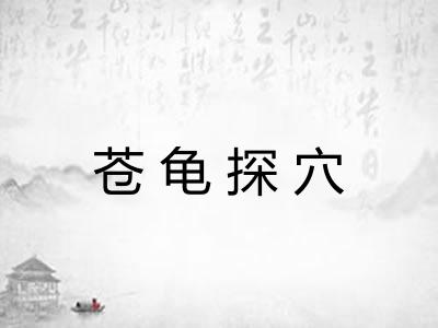 苍龟探穴 苍龟探穴