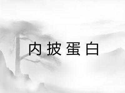 内披蛋白 内披蛋白
