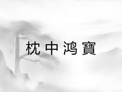 枕中鸿寶 枕中鸿寶