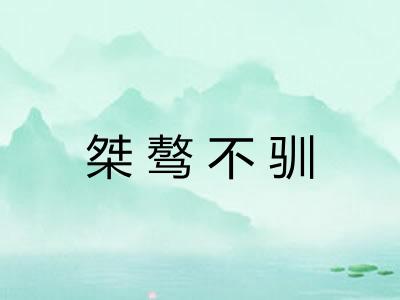 桀骜不驯 桀骜不驯