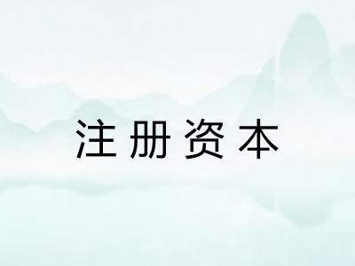 注册资本 注册资本