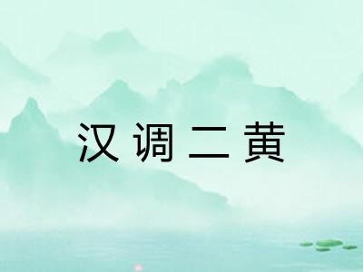汉调二黄 汉调二黄