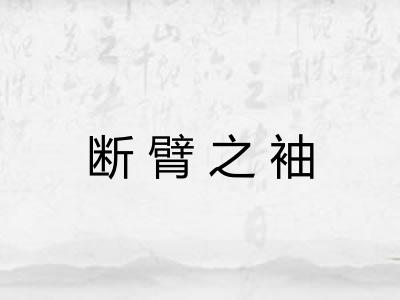 断臂之袖 断臂之袖