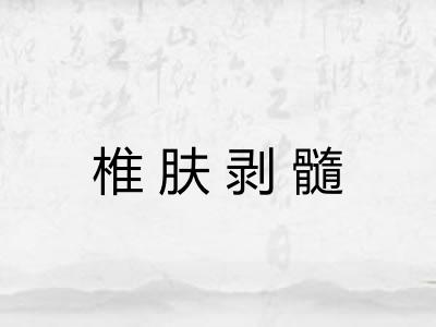 椎肤剥髓 椎肤剥髓