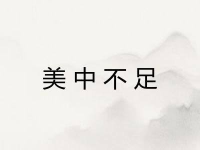 美中不足 美中不足