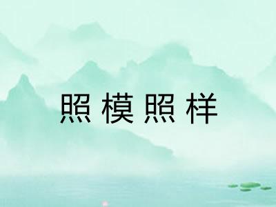 照模照样 照模照样