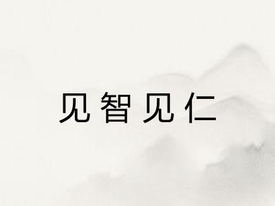 见智见仁 见智见仁