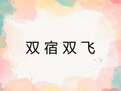 双宿双飞 双宿双飞
