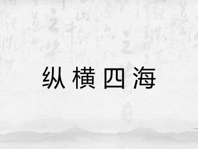纵横四海
