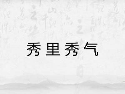 秀里秀气 秀里秀气
