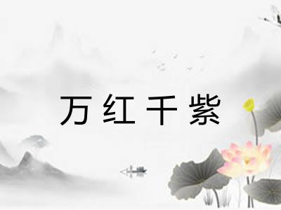 万红千紫 万红千紫