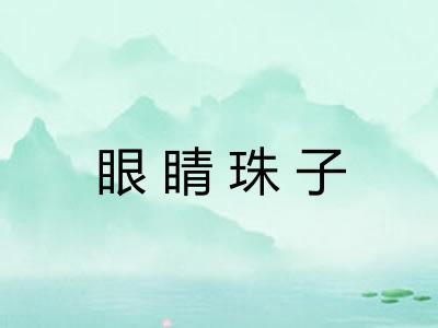 眼睛珠子 眼睛珠子