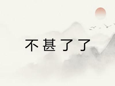 不甚了了 不甚了了