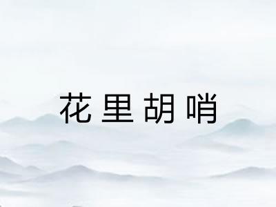 花里胡哨 花里胡哨