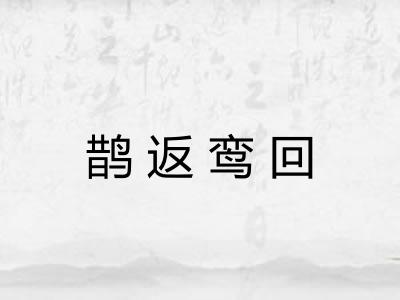 鹊返鸾回 鹊返鸾回