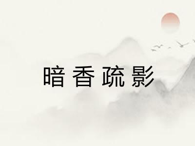 暗香疏影 暗香疏影