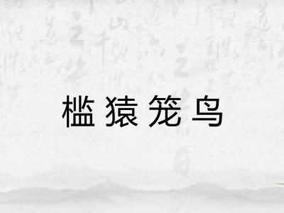 槛猿笼鸟 槛猿笼鸟