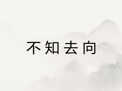 不知去向