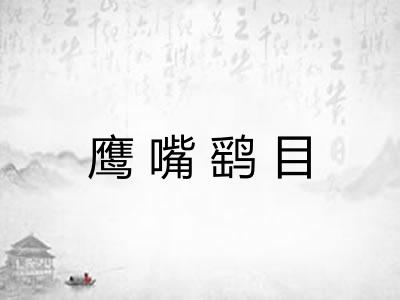 鹰嘴鹞目 鹰嘴鹞目
