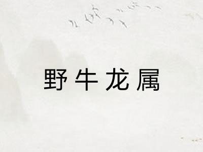 野牛龙属 野牛龙属
