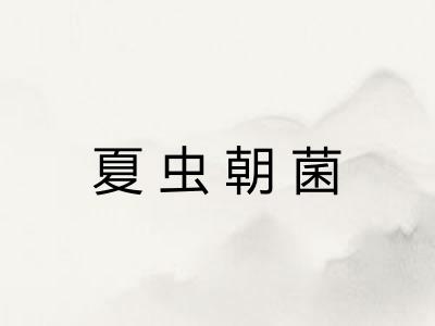 夏虫朝菌 夏虫朝菌