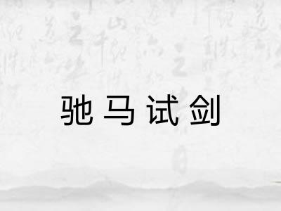驰马试剑 驰马试剑