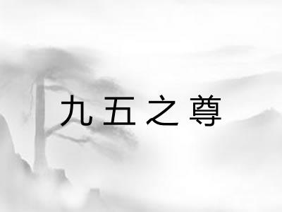 九五之尊 九五之尊