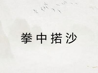 拳中掿沙 拳中掿沙