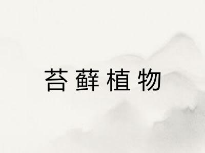 苔藓植物 苔藓植物