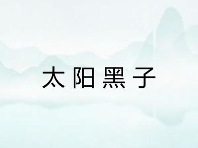 太阳黑子 太阳黑子