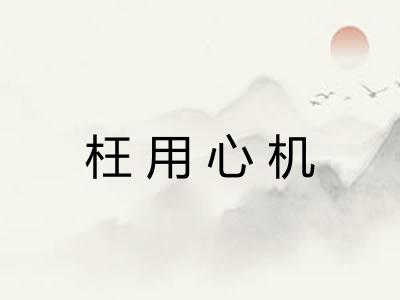 枉用心机